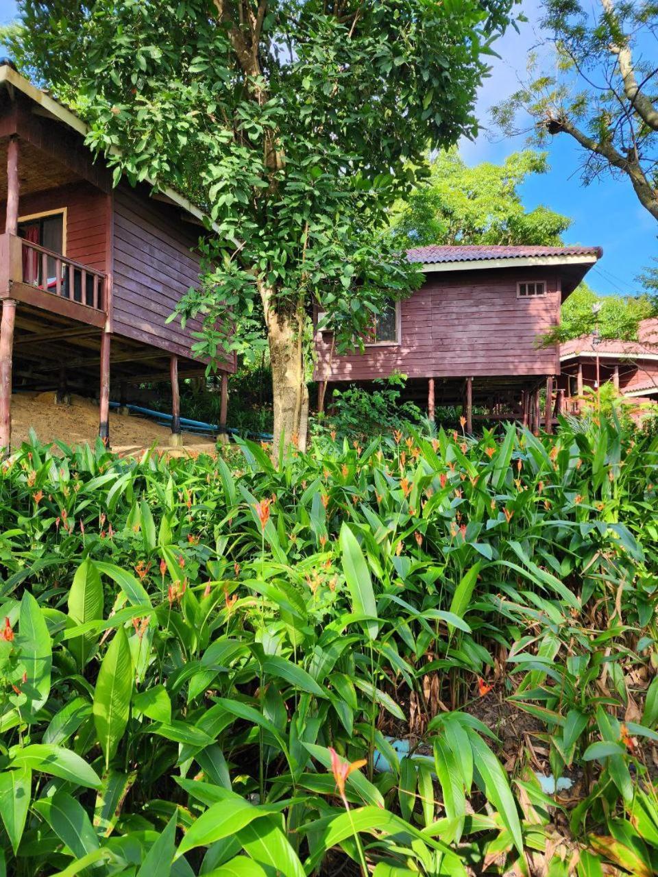 Sweet Jungle Bungalows Kaoh Touch Ngoại thất bức ảnh